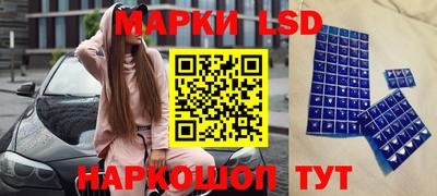 мдпв Бийск