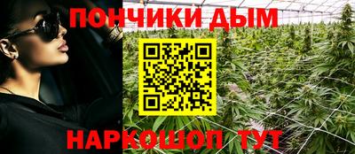 мдпв Бийск