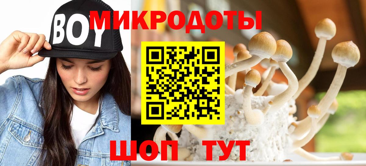 Галлюциногенные грибы мухоморы  Вход с VPN  где можно купить наркотик  Псилоцибиновые грибы MAGIC MUSHROOMS  Владивосток 